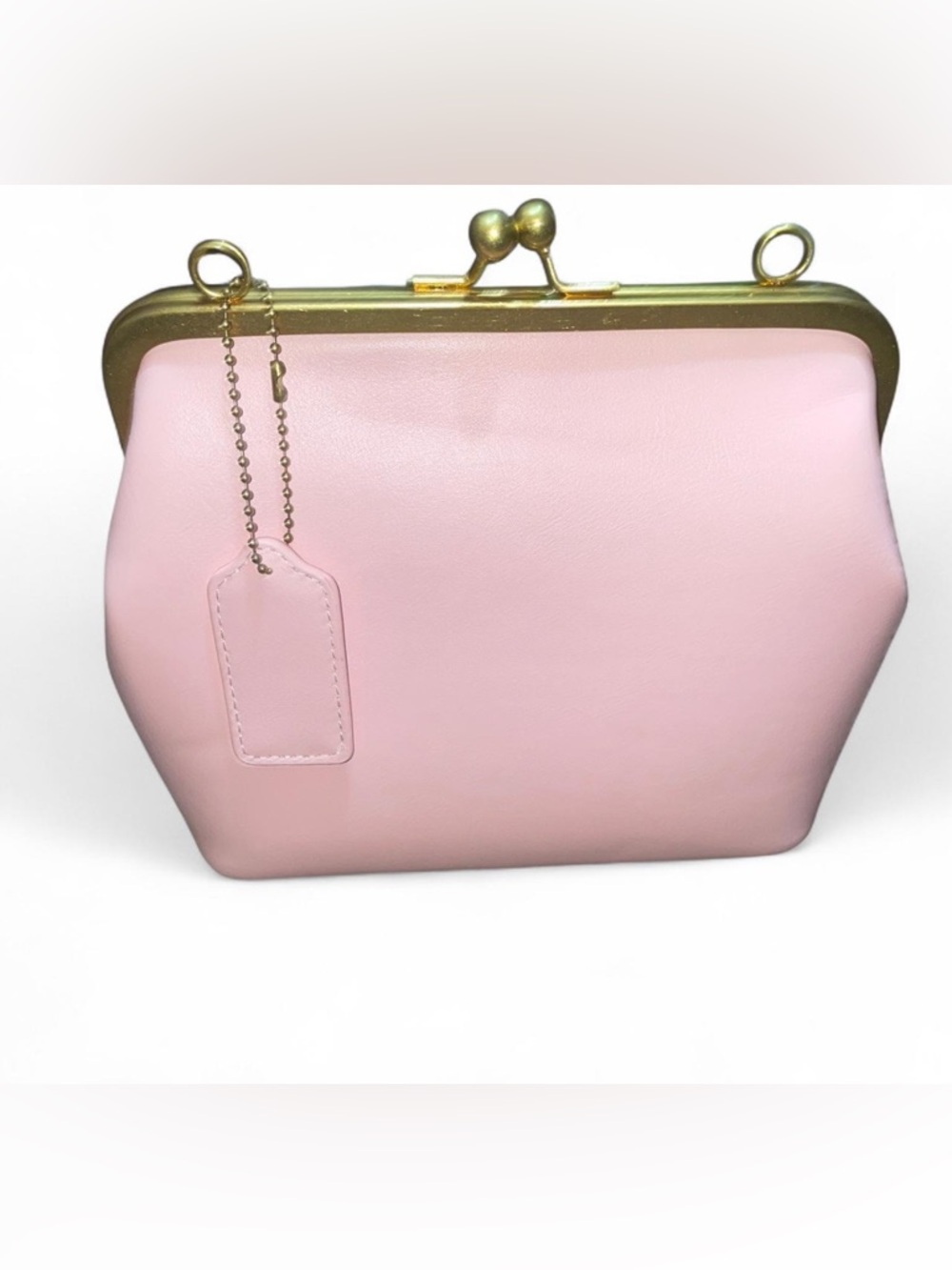 Pink Structured Frame Clutch Bag with Gold Hardware